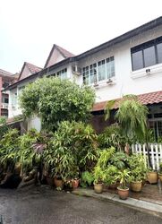 Chapel Close (D15), Terrace #557817781